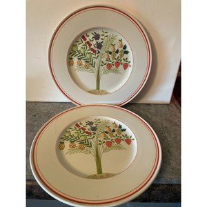 2 Villeroy & Boch 9.5 inch Plates  Bon Appetit Plates   #1243